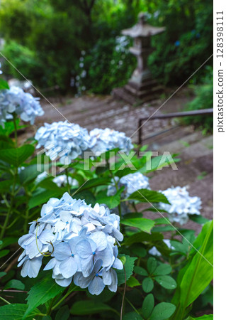 250708 神明神社 z059 250708 神明神社 z059 128398111