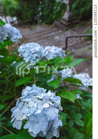 250708 神明神社 z061 128398113