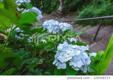 250708 神明神社 z063 128398115