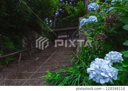 250708 Shinmei Shrine z066 128398118