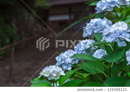 250708 神明神社 z072 128398121