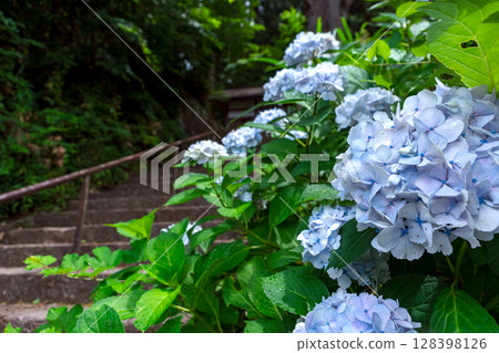 250708 神明神社 z079 128398126