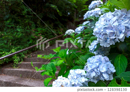 250708 Shinmei Shrine z086 128398130