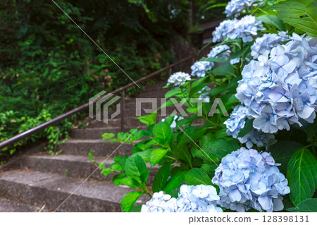 250708 Shinmei Shrine z087 128398131