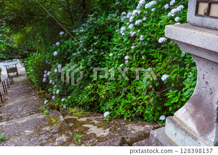 250708 Shinmei Shrine z095 128398137