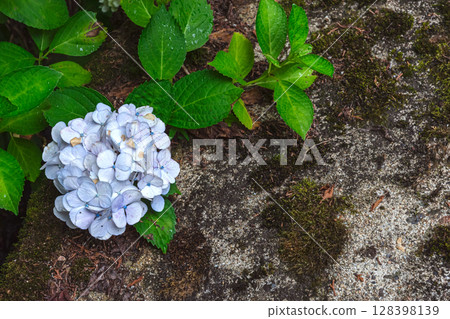 250708 神明神社 z097 128398139