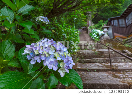 250708 神明神社 z110 250708 神明神社 z110 128398150