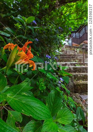 250708 神明神社 z120 128398157