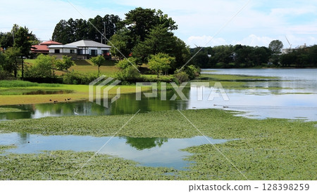 小泉公園的夏日天空 緒方2 小泉公園的夏日天空 緒方2 128398259