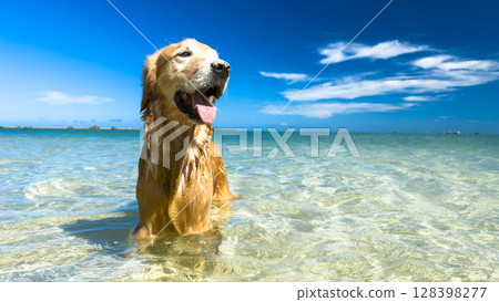 It's summer 128398277