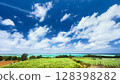 Remote island scenery 128398282