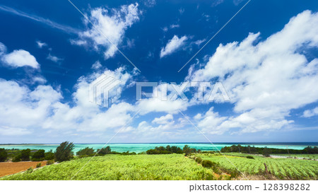 孤島風光 128398282