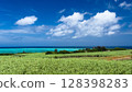 Sugar cane field and sea 128398283