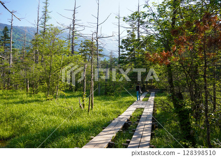 Nagano Kamikochi Path in the midst of fresh greenery 128398510