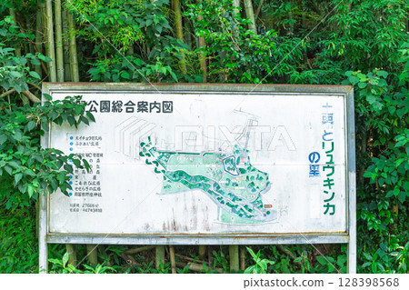 (招牌和地圖)幸福神社(岡留稻荷神社)和岡留公園廣場(球磨郡朝霧町)在夏日的燈光下 (招牌和地圖)幸福神社(岡留稻荷神社)和岡留公園廣場(球磨郡朝霧町)在夏日的燈光下 128398568