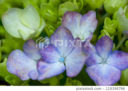 250708 神明神社 m125 250708 神明神社 m125 128398766