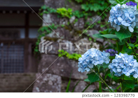 250708 Shinmei Shrine m130 128398770