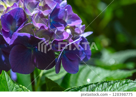 250708 神明神社 m138 250708 神明神社 m138 128398775