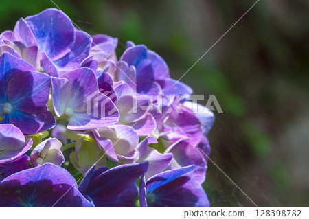 250708 神明神社 m145 128398782