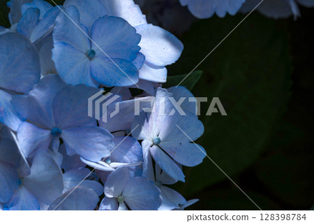 250708 神明神社 m156 250708 神明神社 m156 128398784