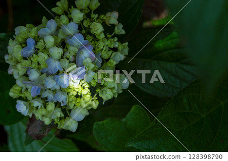 250708 神明神社 m166 128398790