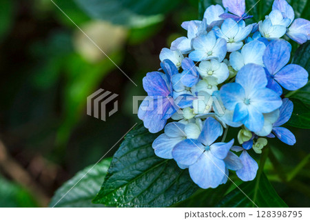 250708 神明神社 m173 250708 神明神社 m173 128398795