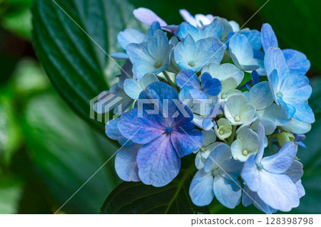 250708 神明神社 m182 128398798