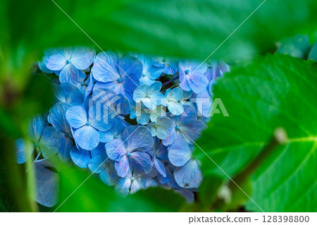 250708 神明神社 m187 128398800