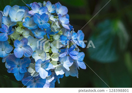 250708 神明神社 m189 128398801