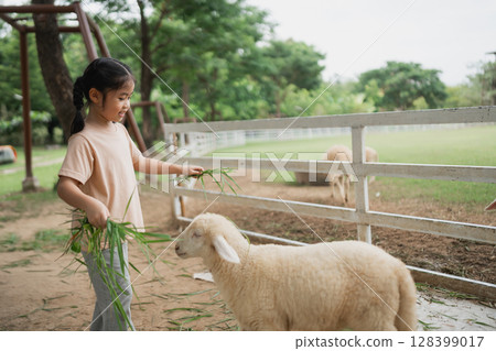 Young girl feeding a fluffy sheep in an outdoor setting at a children's farm, surrounded by green grass and trees in a peaceful environment Young girl feeding a fluffy sheep in an outdoor setting at a children's farm, surrounded by green grass and trees in a peaceful environment 128399017