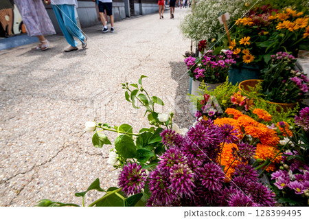 250709 宮川早市 s163 128399495