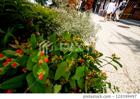 250709 Miyagawa Morning Market s169 128399497