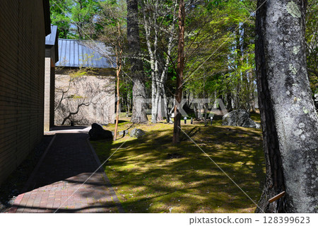 Scenery of Lake Yamanaka Literature Forest Park 128399623