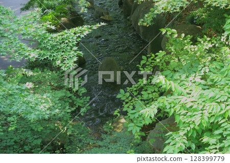 綠意盎然的水道-遠尾德川庭園 綠意盎然的水道-遠尾德川庭園 128399779