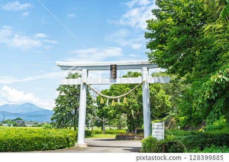 (Torii gate) The Okuma Inari Shrine and the Okuma Park Plaza (Asagiri Town, Kuma District) illuminated in the summer light 128399885