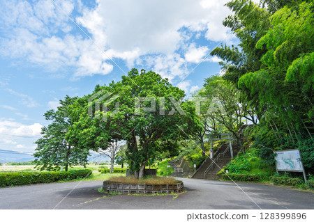 夏日陽光下熠熠生輝的奧留稻荷神社和奧留公園廣場(球磨郡朝霧町) 夏日陽光下熠熠生輝的奧留稻荷神社和奧留公園廣場(球磨郡朝霧町) 128399896