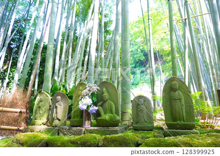 Kanagawa Prefecture, Kamakura City, Hokokuji Temple, Bamboo Garden 128399925