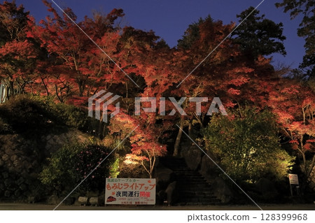 Autumn at Mount Tsukuba, with illuminated trees turning bright red at dusk, around Miyawaki Cable Car Station Autumn at Mount Tsukuba, with illuminated trees turning bright red at dusk, around Miyawaki Cable Car Station 128399968
