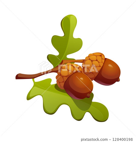Cartoon autumn acorns attached to a twig with green oak leaves. Happy Thanksgiving holiday symbol, small, nut like brown seeds from oak tree. Isolated vector fallen forest foliage, woodland plant 128400198