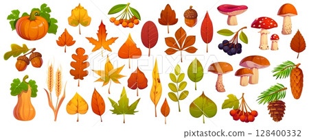 Cartoon autumn leaves, mushrooms, berries and pumpkins, vector fall season, Thanksgiving and Halloween. Cartoon autumn leaves of maple, oak and chestnut trees, acorns, cones, rowan and viburnum fruits 128400332