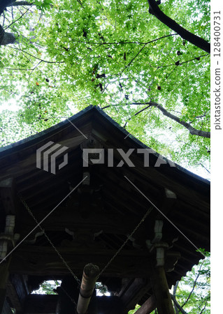 長樂寺院內的風景 128400731