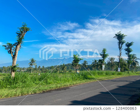 asphalt road with palm trees asphalt road with palm trees 128400863