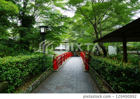 伊豆修善寺桂橋 伊豆修善寺桂橋 128400892