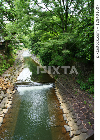 Izu Shuzenji: Katsura River from Kaede Bridge 128401007