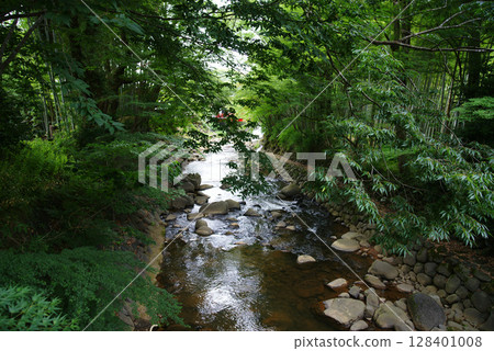 Izu Shuzenji: Katsura River from Kaede Bridge 128401008