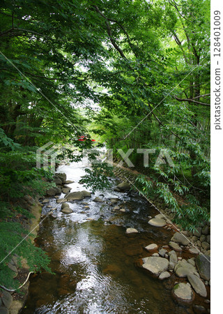 伊豆修善寺：楓橋上的桂川 128401009