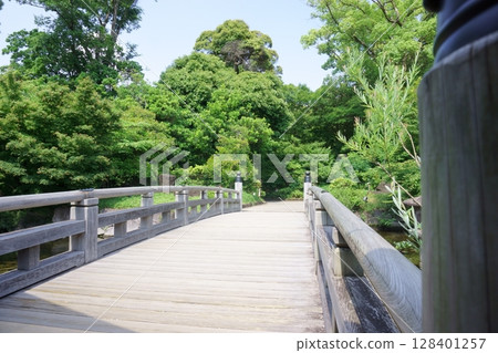 Tokugawa Garden: A wooden bridge surrounded by the greenery of the garden Tokugawa Garden: A wooden bridge surrounded by the greenery of the garden 128401257