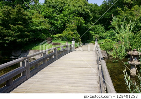 A bridge surrounded by greenery in a Japanese garden, Tokugawa Garden 128401258