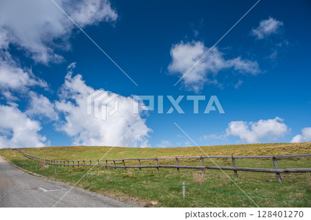 The refreshing scenery of Utsukushigahara Plateau 128401270