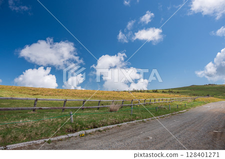 The refreshing scenery of Utsukushigahara Plateau 128401271